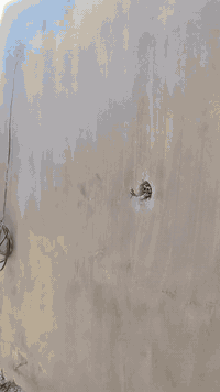 سلام عليكم احنه 3خلفات حالين بل بصره متواجدين متفرقين الباخ خشنه ناعمه ابيض جص نثر من سماوه احنه شقل بل يرضي الله شعدك شقل راسلني خاص او واتساب ***********
