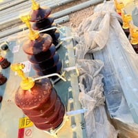 👋🏻 نعلن عن توفير جميع المحولات الكهربائية  100kva  250kva  400kva  630...