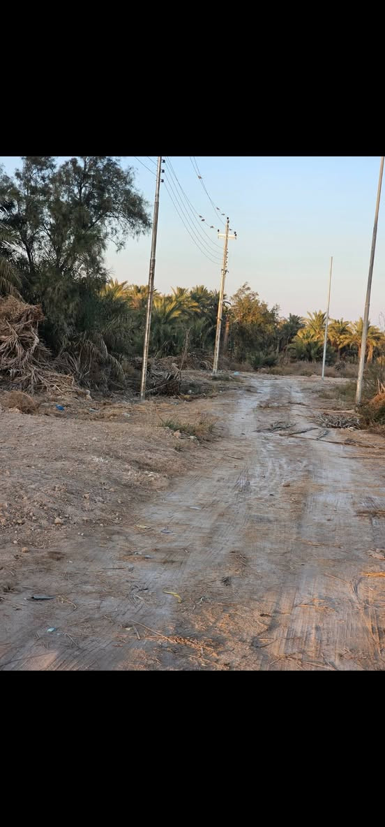 سلام عليكم قطع ارض طابو لبيع شارع المعمل مقابيل المجمع الطبي التواصل ***********
