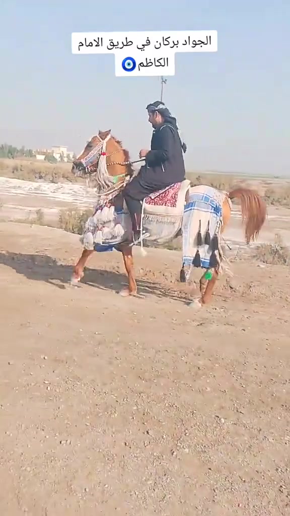 السَلٱمٌ عـَلـْيگمّ-ۈرحـْمّـٌة ٱللـّہ ﯙبُرگـّاتہ
اخون حصان درجه اول اشكر راس وشليل شرط الخياله والعب سالم م̷ـــِْن كل عيب لبيع يرهم مراوس بفرس


**إذا كنت صاحب هذا الإعلان وتريد حذفه لأي سبب، رجاءا أرسل رسالة إلى الدعم الفني**