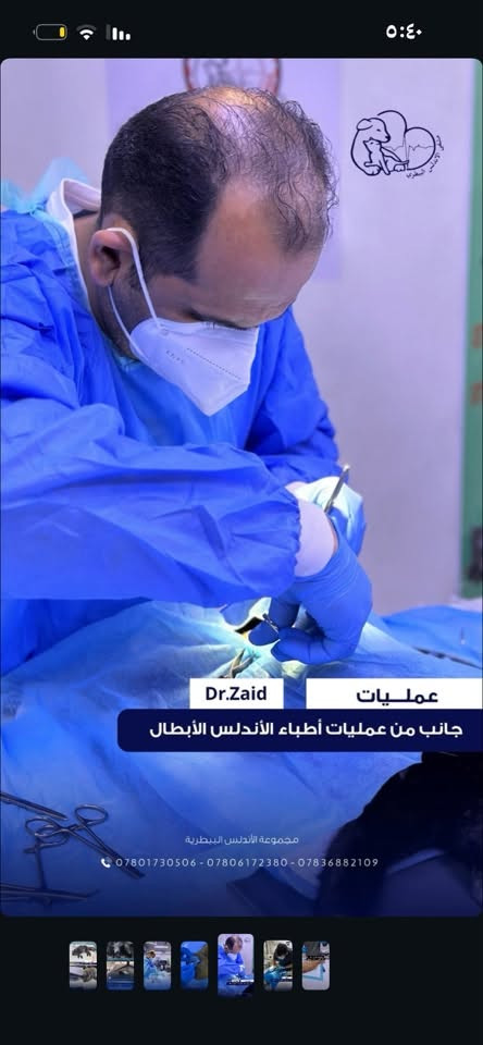 نوفر لأصدقائكم الصغار (القطط، الكلاب، وغيرها) رعاية طبية متكاملة تشمل: فحص طبي، تطعيمات، عمليات جراحية، وخدمات العناية والجمال.
لا تنتظر حتى يمرض أليفك، الفحص الدوري يحميه! 

مع توفر احدث الاجهزة والمنتجات التي تدعم صحة حيوانك الاليف في مجموعة مشفى الاندلس البيطري 

📞 اتصل بنا الان :***********
📍 موقعنا: السيدية شارع قطر الندى 
📸 زوروا حسابنا على إنستغرام

https://www.instagram.com/andalus.vet?igsh=NTg4djZtZ2t3cTky
