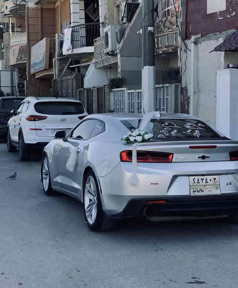 سلام عليكم 🫡 بيع او مراوس اقره للاخير
شوفرليت كمارو 2017 وارد امريكي السياره سبعينيه مختمه كلها بيها 3 قطع صبغ علشرط ( شواصي + لغود + تكم + قماره + حوض ) اكفلهن من الشخط وين ميعجبك افحص مكينه وكير برغي ممفتوح بيهن مكينه 3600 شرط شلعه تشك الكاع ودبات بورلا وبرمجه سيفتي المواصفات 
1.تشغيل عن بعد + بصمه 
2.كشنات جلد + كشنات كهرباء ثنينهن 
3.كشنات تدفئه وتبريد وستيرن تدفئه
4.شاشه اكبر حجم + كار بلاي 
5.سستم سماعات بوس + شفتات ستيرن
6.تحكم ستيرن اربع جهات + شفتات
7.انضمه قياده 3 + مانع انزلاق 
8.تحديد مسار + شاشه اعطال السياره فول الفول عده الفتحه اخوان كلشي موضح بلمنشور السياره بشرط صدرها امامي خلفي جديد اذا بيها طكه بصدر ترجع السياره تبريد ثلج جاهزه عل اخر حبايه تحويل ثاني يوم سنويه مساقطه السعر 120  وبيها مجال بسيط الميعجبه ختولي يلكه الاحسن منها كلشي اكو بلسوك 🖤 
*********** اتصال فقط 
*********** واتساب فقط 
اسف عل اطاله 🖤
