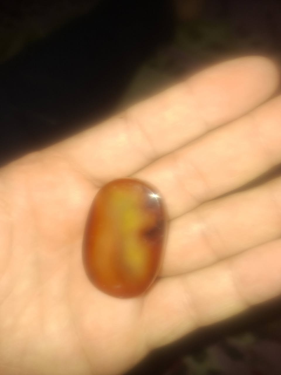 اسلام عليكم ا
مراوس اب ياقوته زينه


**إذا كنت صاحب هذا الإعلان وتريد حذفه لأي سبب، رجاءا أرسل رسالة إلى الدعم الفني**