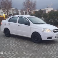 أفيو • ٢٠١٠ • رقم السليمانية