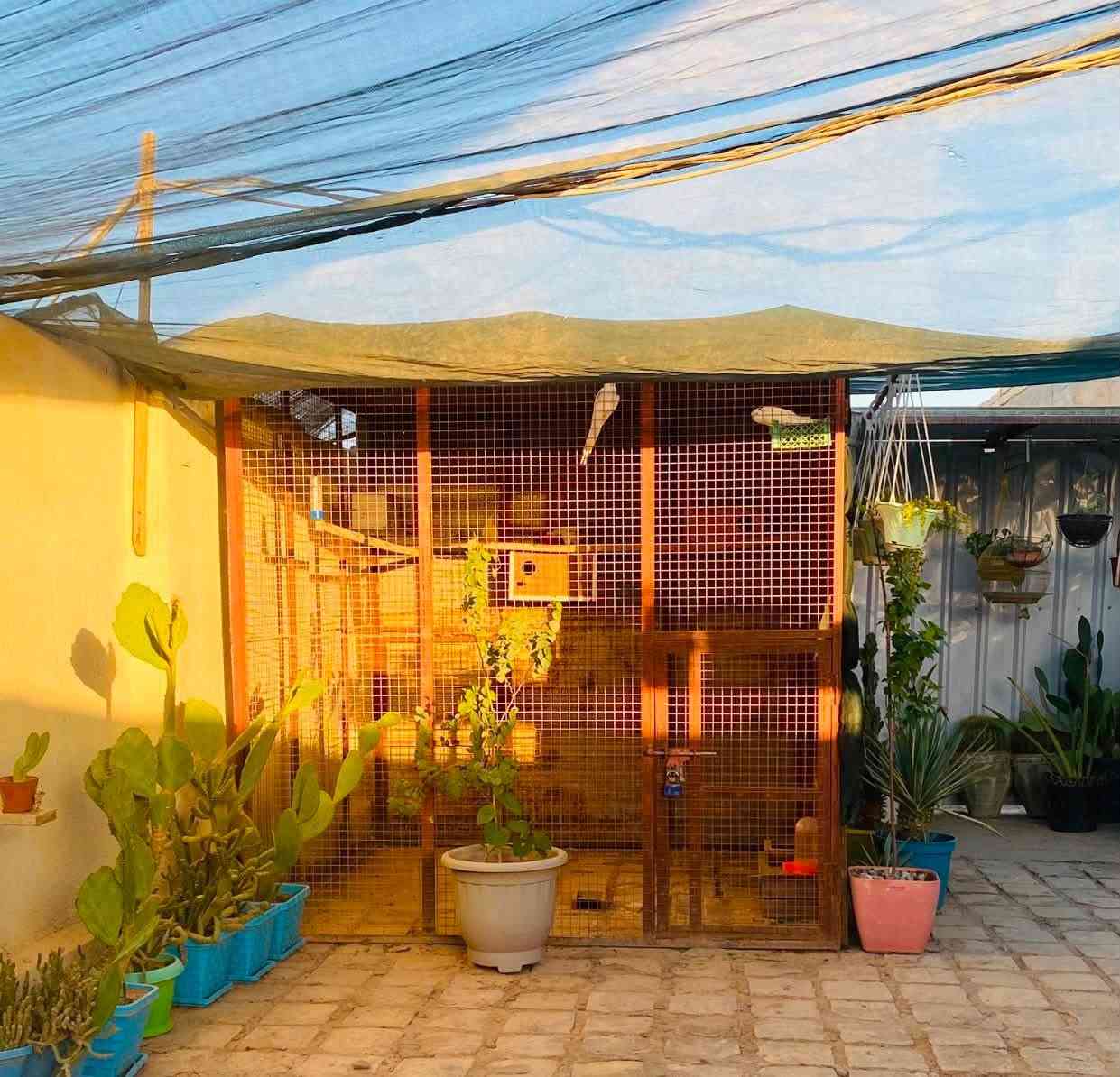 قفص حديد متنقل للبيع
القياس مترين مربع 
يتكون من 5 قطع واجهيتين وسقف وصفحتين
شغله درجة اولى والسيم طبقات ثقيل
بي بابين
ينفتح ويتركب بسهولة (نظام نرمايد)
يصلح يكون غرفة خارجية للخزن او محمية للعصافير وطيور الزينة
سعره 250 الف
المسيب الحي العسكري
***********
