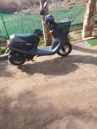 منغولي • سلف كهربائي • كربلاء البارون