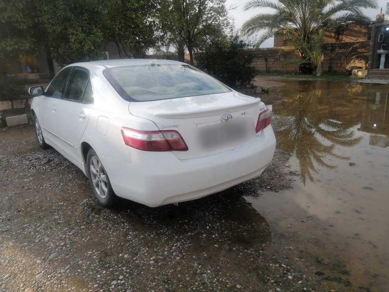 السلام عليكم
كامري خليجي موديل 200‪9
لون ابيض تعمل بنضامين غاز وبانزين وياها كابون بانزين
رقم سليمانيه دولي الجديد 
سنويه ساقطة صارلها سنتين 
محرك 4 سلندر 2400 المرغوب
شرط بدون فتح وبخار قليل 
كير شرط مكفول 
السياره بيها جاملغ تعديل وبونيد تجاري
 وصبغ فقط قسم من الباب الخلف السايق 
وبارد باب السكن يم اليدة مال الباب 
 مواصفات GLX
داخل رصاصي ومطعم بصاج 
ارضيه قماش 
كشن جك
شاشه ايباد
كامره خلفيه
حساسات
اواكس
يو اس بي
4دسك
بلاجكتور بلادي
تحكم مري جانبي
قطعتين تبريد 
كير/محرك/تبريد/تدفئه/صدر/دوشمه/باتري/كهربائيات/ارضيه جلد/ والشرط على الفحص والسونار اليعجبك 
رقم سليمانيه (21)دولي الجديد سنويه نافذة من ٢٠٢٤ شرط التحويل والغرامات
 
عنوان السياره :كركوك /الحويجة 
الخاص مغلق:::

السعر:105
للإستفسار الاتصال :078‪29160549


**إذا كنت صاحب هذا الإعلان وتريد حذفه لأي سبب، رجاءا أرسل رسالة إلى الدعم الفني**