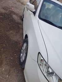 ابتمه • ٢٠١٠ • الدوانيه