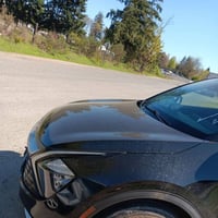 سبورتج • ٢٠٢٣ • وارد امريكي