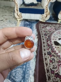 يماني مشمشي • ماكو توصيل • بغداد