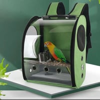 جنطة • ببغاء • اكسسوار