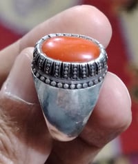 مرجان • بغداد • توصيل