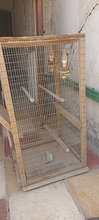 قفص طيور • بلابل • طيور حب