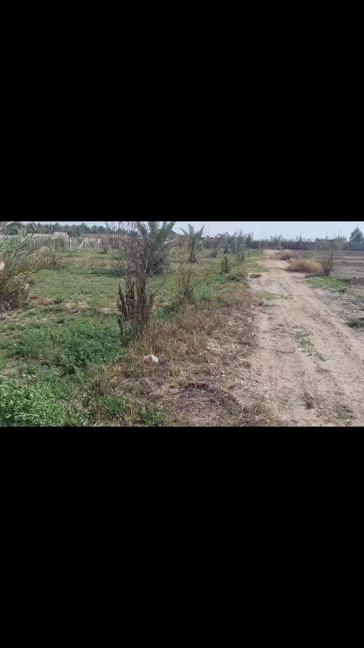 للبيع ارض مساحه دونمين طابو زراعي سند ٢٥ تحويل بأسم المشتري الواجهه ٥٠ متر ونزال الموقع طريق الابراهميه العام وتنزل تبليط كيلو وتنزل سبيس ٤٠٠ متر خدمات كامله مسيجه  تصلح سكن او اي مشروع استثماري عن مركز المدينه ٩ كيلو السعر الكلي ٣٣٠ مليون مجال بسيط للشراي للإستفسار الاتصال على الرقم ***********/ ابو محمد المسعودي
