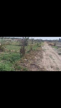 طريق الابراهميه • دونمين • طابو زراعي