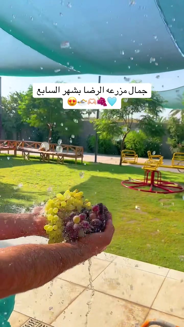 نصور من قلب الحدث وليس صور قديمه🫶🏻🏊🪿🍇
موقعنا بلد
***********
