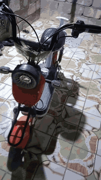 بايسكل شحن للبيع حجم 14 كهربائيات شغاله مبدل عقل ملف جديد اشاير شغاله اماميه وخلفيه لايت عالي وناصي وهورن + بصمه وقفل وصافرة انذار السعر 125 وبي مجال حگ الجيه 
عنواني شهداء الموظفين.. ***********
