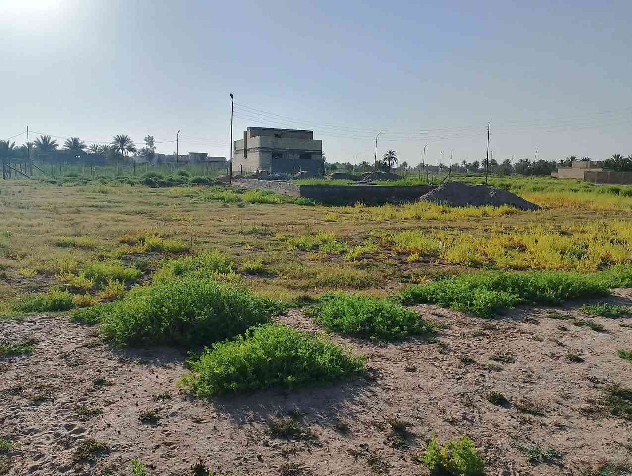 السلام عليكم من رخصت الادمن ///  للبيع قطعة ارض طابو زراعي سند 25 ركن المساحه 280 م  نهاية العلگايه  السعر 18 مليون وبيه مجال للاستفسار اتصال ع الرقم // ***********
