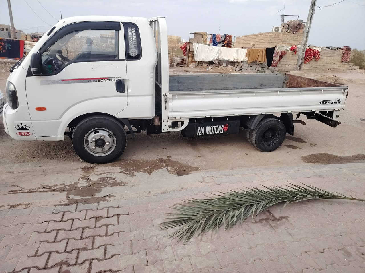 كيه حمل فحل مسكررقم بصره 2017 مكفوله ***********
