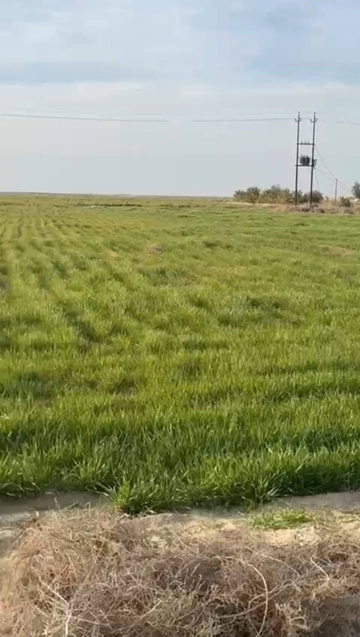 ارض زراعي ١٣٧دونم بالرحاب بيه بير وماطور الارض معدله ليزر ومزروعه حالياً وبيه بيت وبيه ٤٠ نخله وسدر
***********
