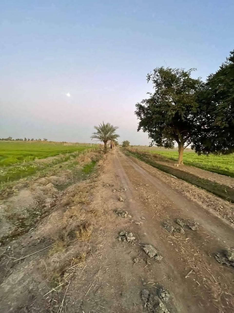دوانم جميله موقع جيد التاجي ذراع دجلة طابو سند 25 خدمات كاملة ماء اسالة وسقي وكهرباء وسوق مدارس منطقة ريف كلش حلوه الحياة هنا تختلف عيش برفاهيه                (اخذلك دونم 2500 متر او دونمين 5000 متر سعر الدونم 30  مليون ) 
 رتب بيهة مزرعه عائليه ترتاح كلش البناء مسموح سوق مدارس كلش حلوه المنطقة وقريبه على بغداد 
اي استفسار بخصوص الدوانم على الرقم واتساب ***********
