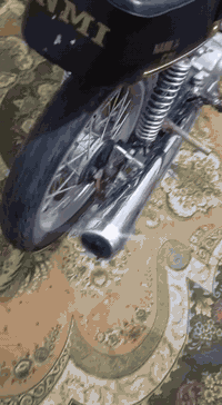 دراجه الشاصي نامه 20. والباقي رابيدو 2025 اصلي. ..الدراجه خير من الله ماعوزه برغي الدرجه صاره شهرين من عمرتهه الدراجه مامتعوبه المحرك مامفتوح هاذارقمي. *********** السعر 600 ابيه مجال  تحياتي للشراي المكان ناصريه مركز 🥀
