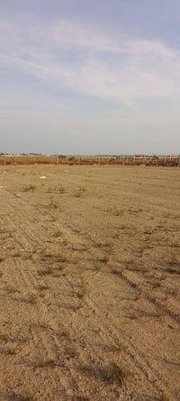 بغداد • ١٠ دونم • طابو زراعي