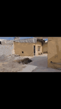 بيت تجاوز 200متر منطقة الدهنه قريت عگيل     4ملاين وبي مجال بسيط بعد المعاينهه
يحتوي على  غرفتين وستقبال وحوش وحديقه 
 وصحيات
ماء  مجاري تانكي ماسس كهرباء  فقط تسحب من الشارع كهرباء 
سكف جينكو وجادر امريكي 

البيت حالين فارغ  تجي تكعد بي كبل وبل عافيه عليك 

***********
