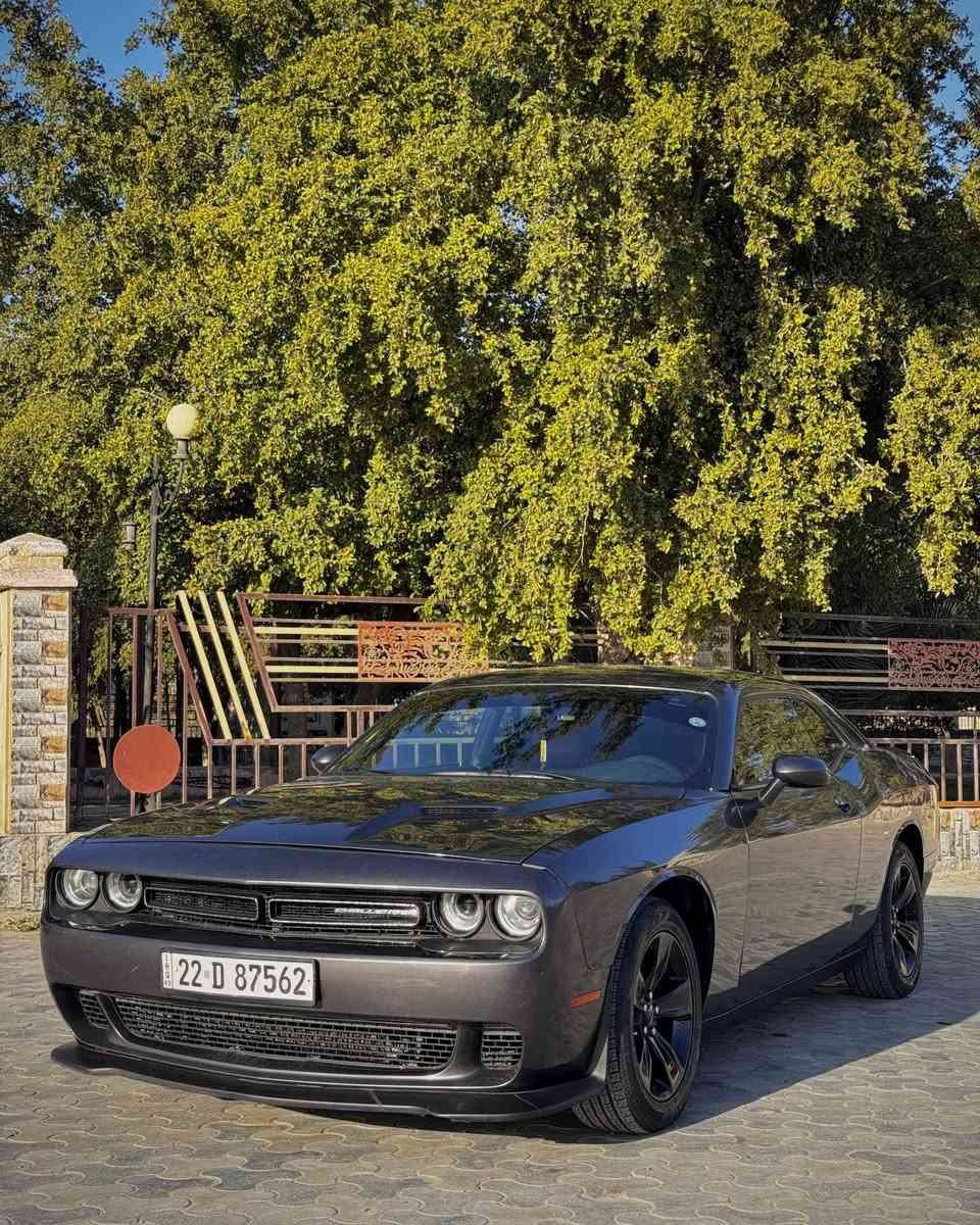 للبيع Dodge Challenger 2021 SXT
السيارة جناي واحد (مرقمة)
 مواصفات SXT معروفة
 داخلية جلد أحمر SRT
تايرات جديدة
 صدر جديد
 لايتات LED
برمجة 
 السيارة ما ناقصها أي شيء

🔴 بدون إيرباك (ايرباكات كلها وكالة )
🔴 بجم كبس 
حادث ربع جاملغ خلفي عكس السايق — راجع وكالة
خشم الجاملغ الأمامي مبدل
الجاملغ البلادي موجود تاخذة ويا السيارة السعر: 205$
 للتواصل:
***********
واتساب او اتصال فقط
