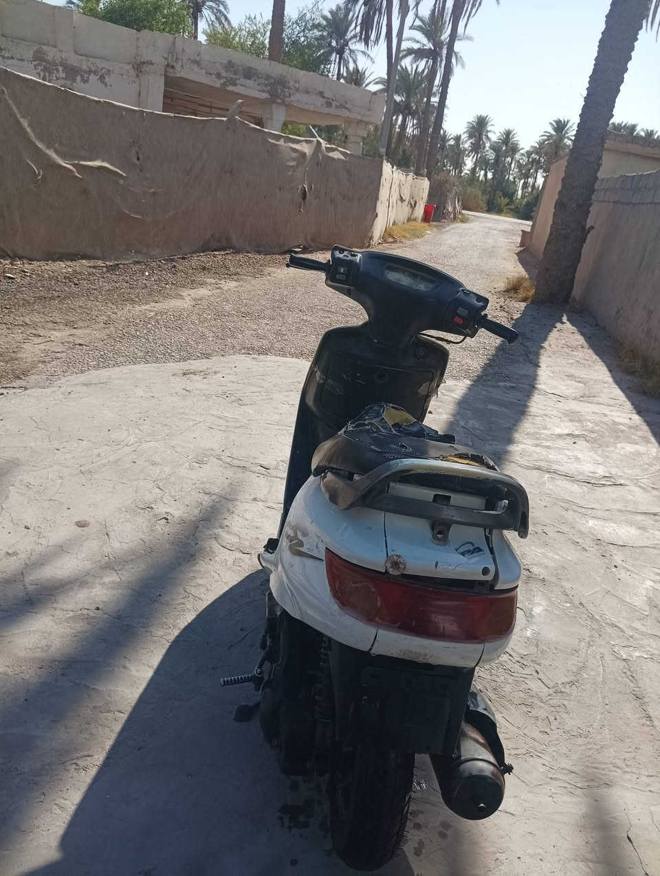 سلام عليكم  فراشة للبيع نضيفه كلشي شغال بيه كهربائيات هندر شغال  فقط رايدلها باتري  سعر 200وبيه مجال مكاني بابل ناحيه النيل


**إذا كنت صاحب هذا الإعلان وتريد حذفه لأي سبب، رجاءا أرسل رسالة إلى الدعم الفني**