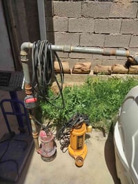 تانكي • غطاس صغير • غطاس كبير
