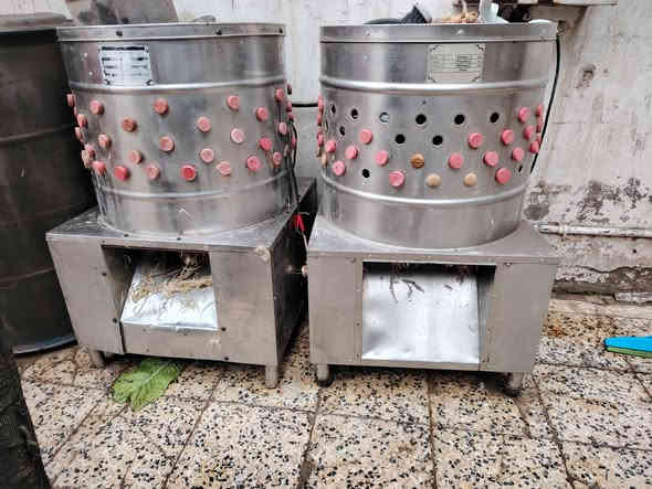 هلاسه مال دجاجه شغالات 🐔/عنوان كوت دامواك مقابيل جامع الاوس ***********
