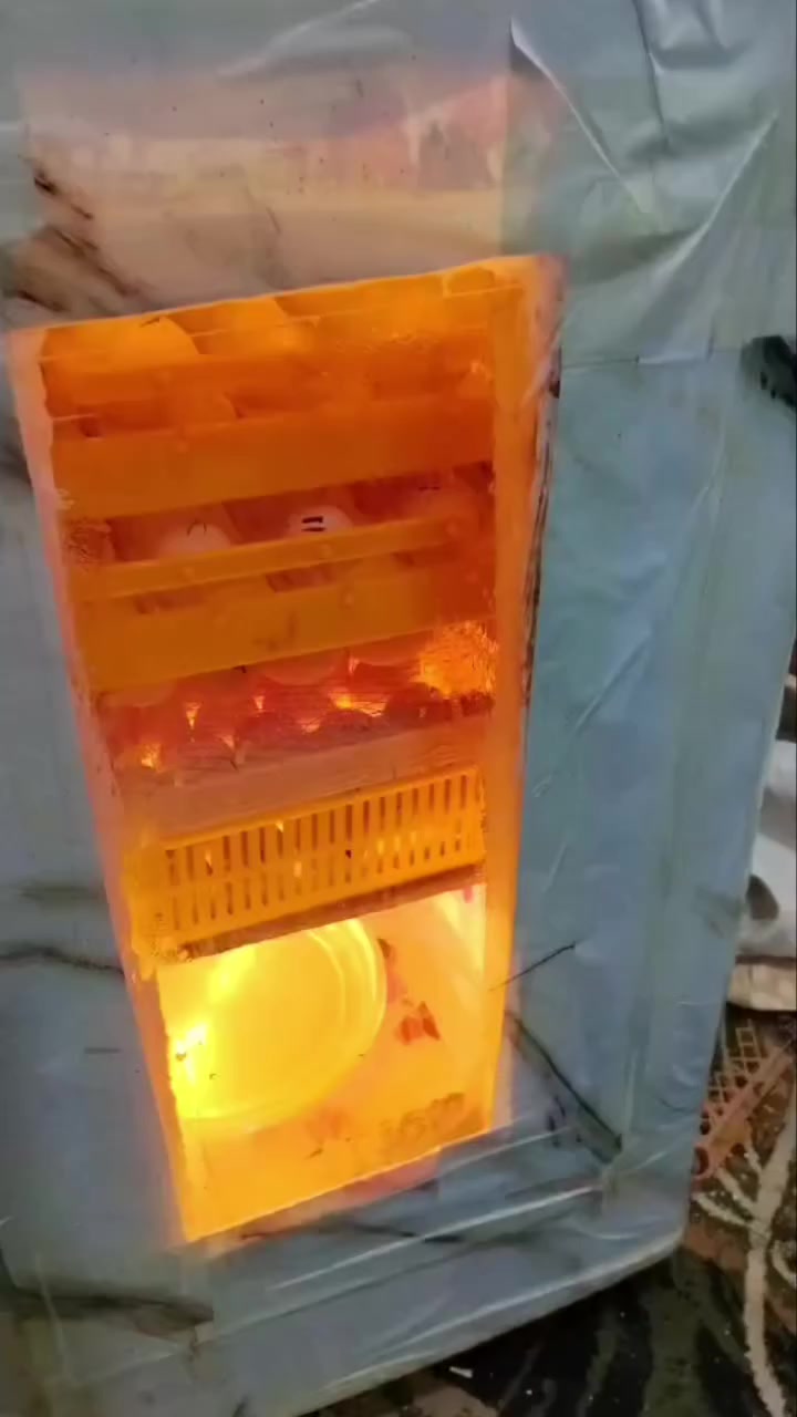 السلام عليكم فقاسه للبيع المكان كربلاء طويرج ام روايه  السعر 150 وبيه مجال


**إذا كنت صاحب هذا الإعلان وتريد حذفه لأي سبب، رجاءا أرسل رسالة إلى الدعم الفني**