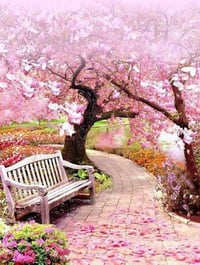 بيت مساحته 240 للبيع فقط راسلني خاص ادزلك صوره كامله وتفاصيله 07735069...