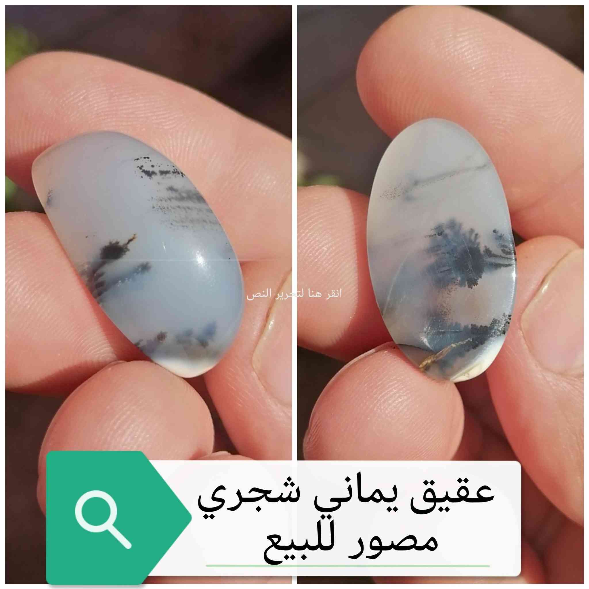 شهر خير ومغفره يارب العالمين 🤲 
عليك الاختيار وعلينه انسب الاسعار وتدللون


**إذا كنت صاحب هذا الإعلان وتريد حذفه لأي سبب، رجاءا أرسل رسالة إلى الدعم الفني**