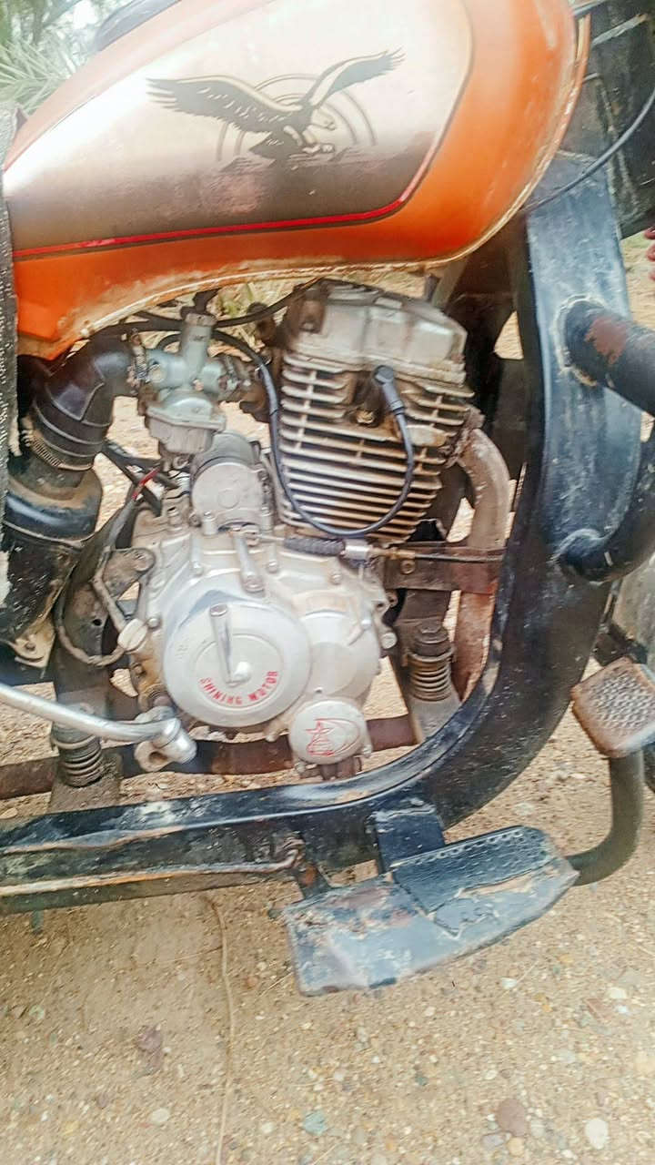 السلام عليكم للبيع ستوته جمره  فحل  سعر 1500وبيه مجال  موديل2019  مكفوله كفاله عامه أوراق أصولي كامله مكاني ميسان العماره قضاء علي الغربي  لشراي يتصل  ***********
