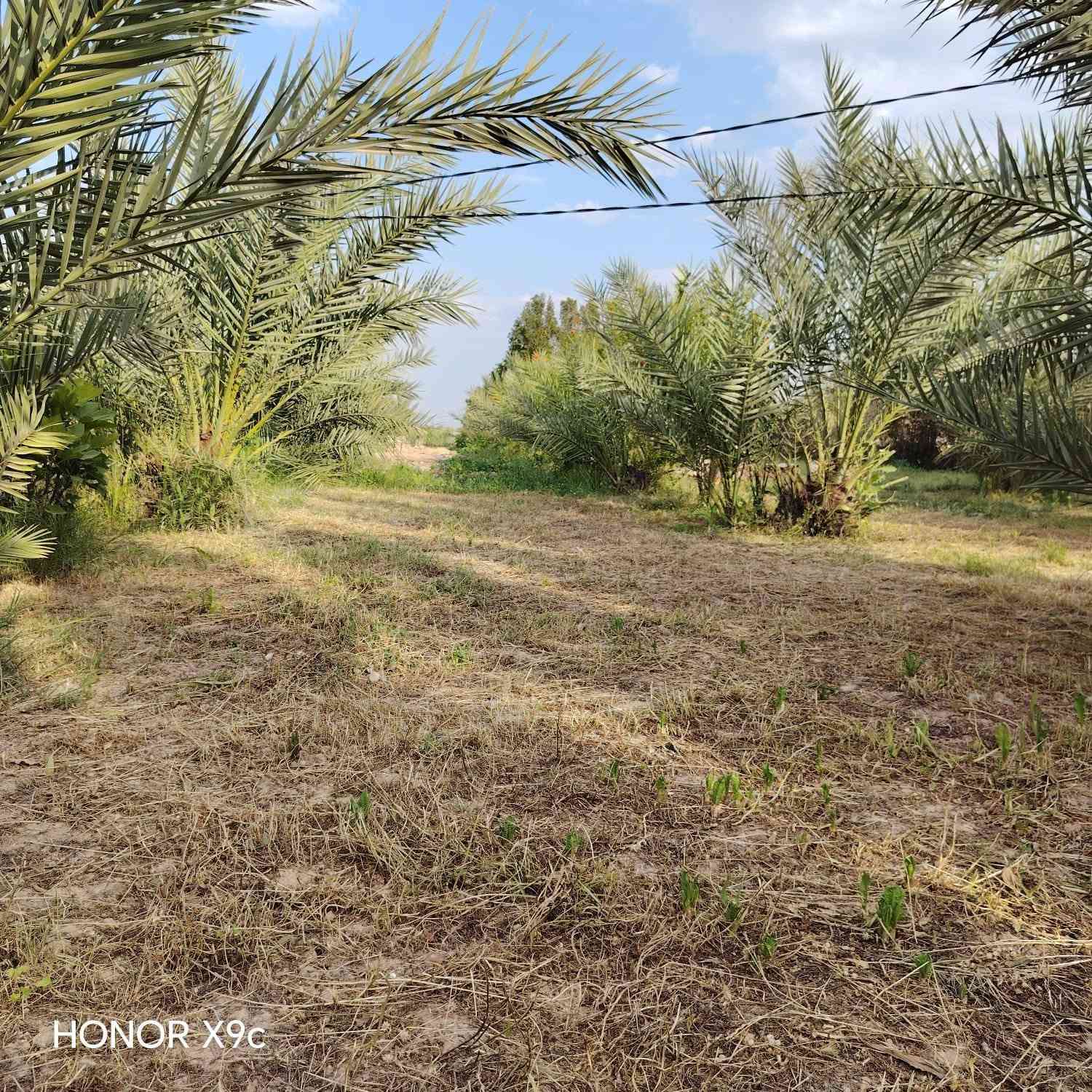 سلام عليكم  تلث دوانم لبيع طابو زراعي سند خمسه وعشرين لجبه ١٥٦ ونزال ٤٨ مكانهن ناحيت الوحده الخالصه بيه مي اساله ومي سكي وكهربا وتبليط لباب تبعد عن شارع العام ثنين كيلو سعر لدونم لواحد ٨٥ وبي مجال وهاذ رقمي ***********
