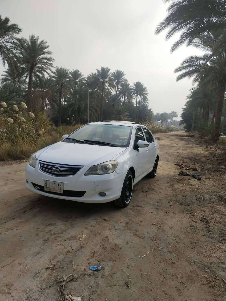 سلام عليكم سياره بي وايدي
مديل 13خصوصي سياره فول مواصفات فتحه بصمه تحكم
مكفوله من تبديل بيه شخطه بل بيبان ومصلحه عل بارد والباقي كفاله عامه سياره كير مكينه حداديه تخم تاير كهربايات كله شرط بيه منضومة زنون عالي وناصي سعرهن 150الف. سيارن مصفره غرامات ماعليهه رقم قادسيه شرط كيجات عدادات كيلو متر تبريد ويه السويج 🥶
سياره ماعيزه برغي كبل اله شارع ترايك وين ماتريد
السعر 46وبيه مجال بسيط 
مكاني رميثه ستفسار
‏‪***********‬‏
