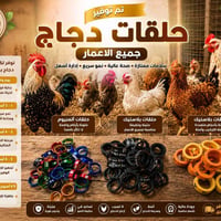 حلقات دجاج • حلقات طيور • ديوانية • مستلزمات دجاج • طيور • حلقات تعريف...