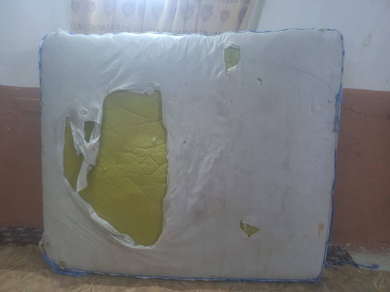 دوشك يرادله بس وجه ب35بي مجال مكان القبله


**إذا كنت صاحب هذا الإعلان وتريد حذفه لأي سبب، رجاءا أرسل رسالة إلى الدعم الفني**