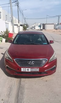 سوناته سبورت • ٢٠١٦ • وارد امريكي