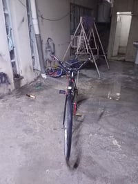 عجلة • التفاصيل بالصورة • كربلاء