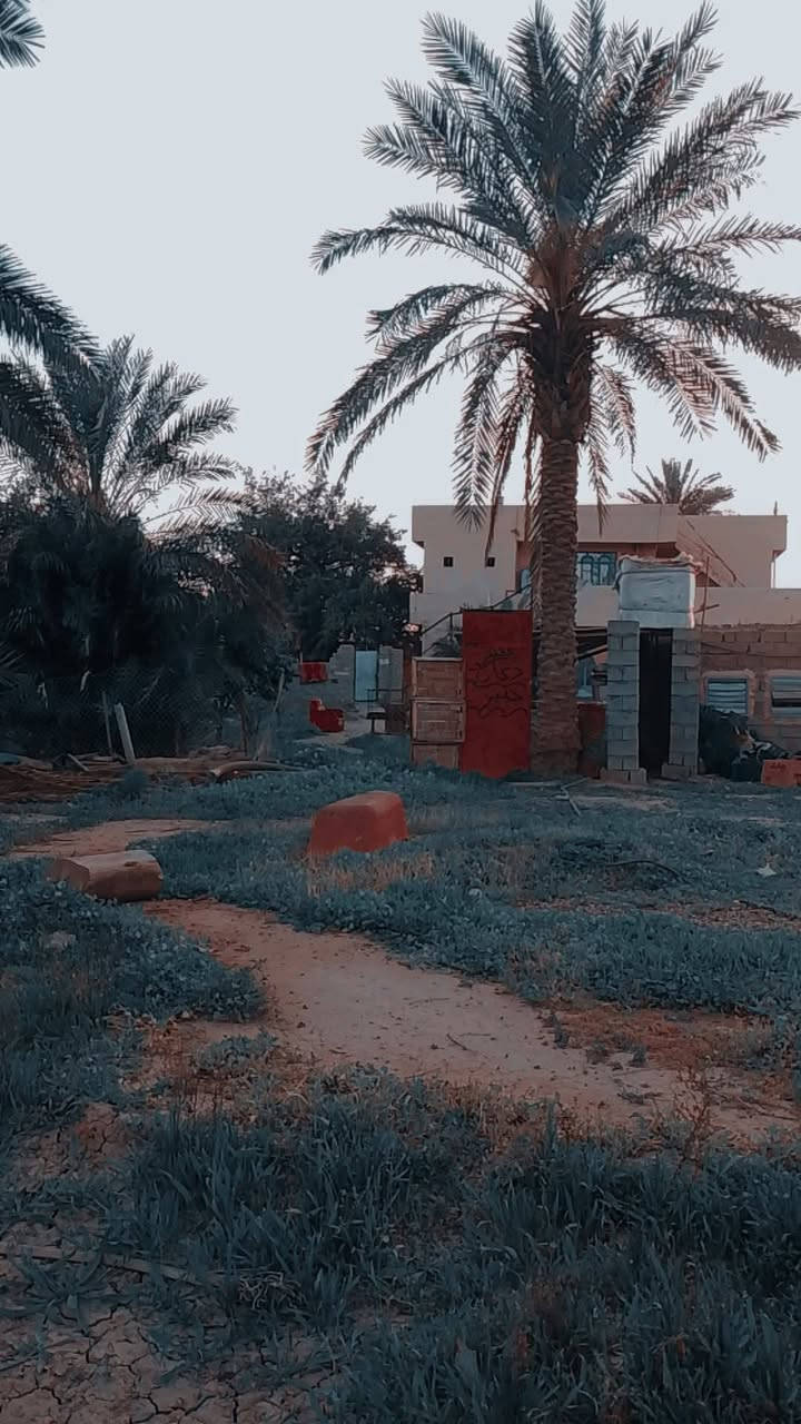 سلام عليكم
للبيع ارض دونمين ونص 
سند 25
متوفر الماء الكهرباء فول والله 
يحتوي على بيتين ومشتملين وهيكل وحقل دجاج 
العنوان /. بغداد التاجي قرب سيطرة الشؤن القديمه 
رقم ***********
