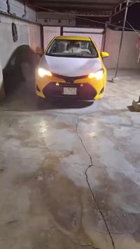 عندي زوج هورنات بوش اندي السعر 350 الي يريد يراسل هذا رقم 07708155931