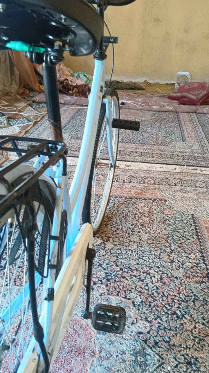 105 بمجال السماوه الخضر بايسكل26 2022 قمراوش كل شيء


**إذا كنت صاحب هذا الإعلان وتريد حذفه لأي سبب، رجاءا أرسل رسالة إلى الدعم الفني**