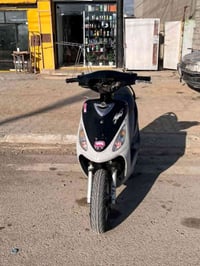 ماكس منغولي • سعر خاص • للجادين