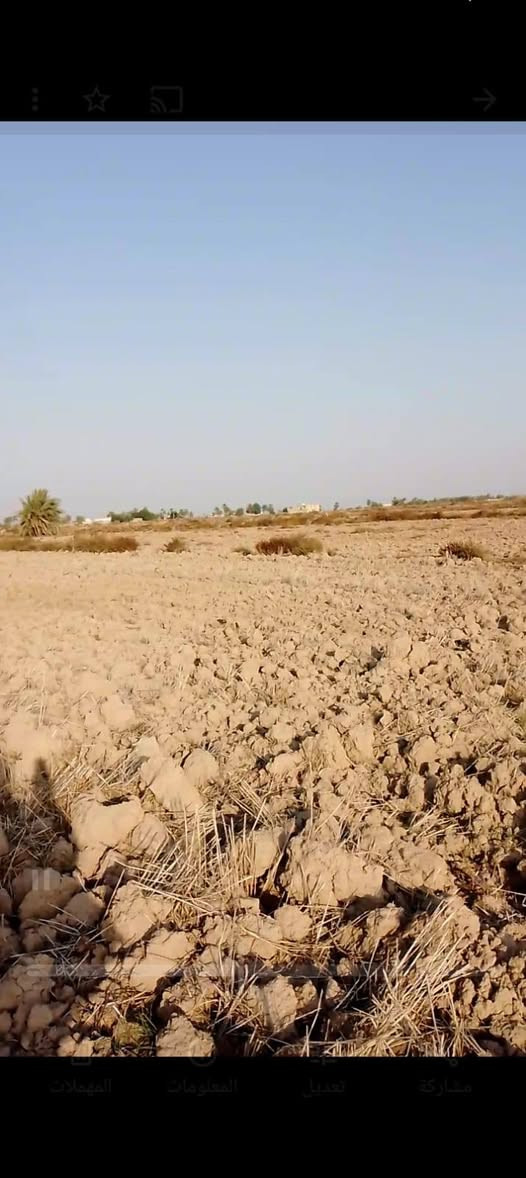 ارض زراعيه للبيع عد ال عواد الرعده مساحة الارض سبعه دونم ماي متوفر/ وسأله وكهرباء وطريق ومسكه رسمي مثبت  للكاع   

للتواصل والاستفسار ***********
