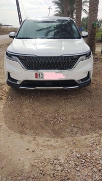 كرنفال • ٢٠٢٢ • وارد امريكي