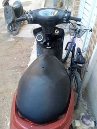 ثعلب • نوزل • سلف