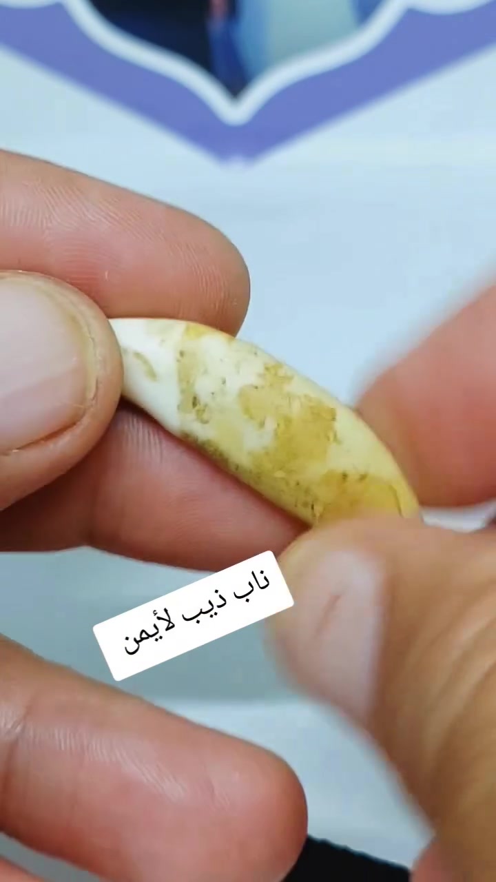 ناب ذيب لأيمن 
سعر على الخاص إشارة إلى الأصدقاء 󱢏


**إذا كنت صاحب هذا الإعلان وتريد حذفه لأي سبب، رجاءا أرسل رسالة إلى الدعم الفني**
